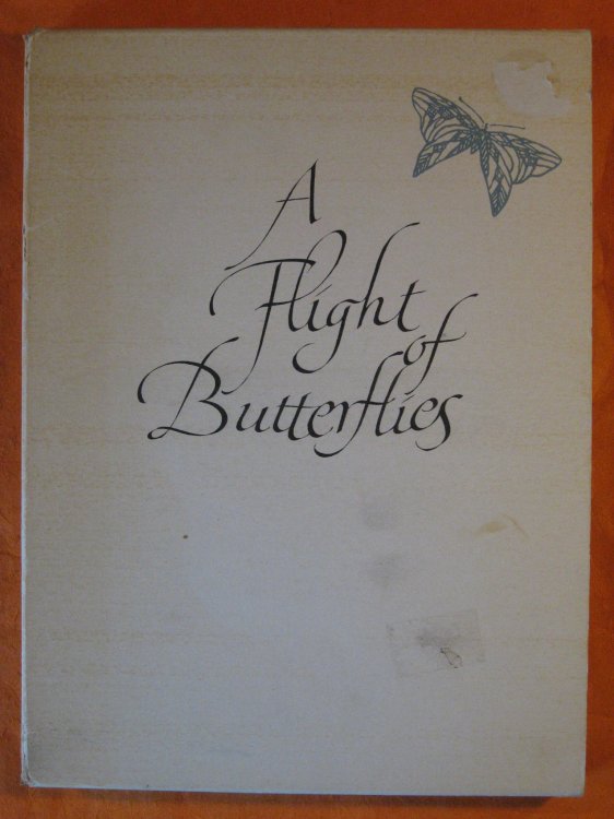 Image for A Flight of Butterflies A Flight of Butterflies