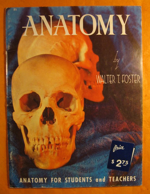 Image for Anatomy Anatomy
