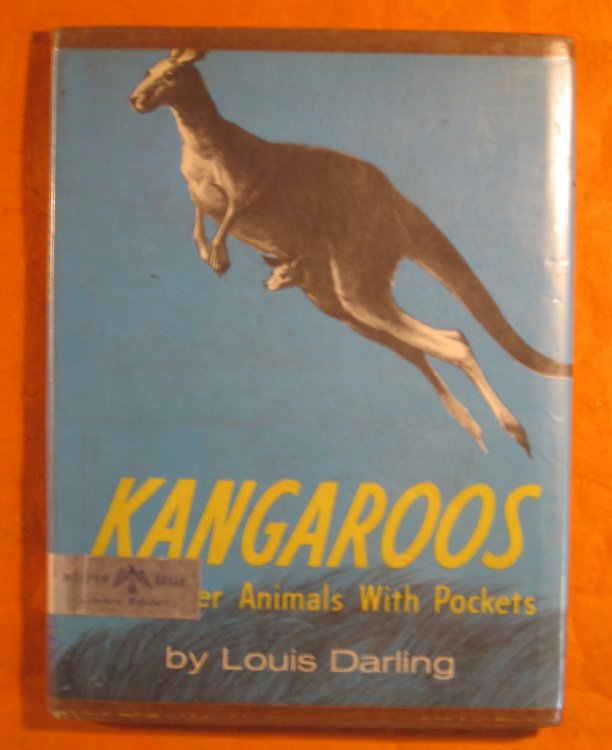 Image for Kangaroos and Other Animals with Pockets Kangaroos and Other Animals with Pockets