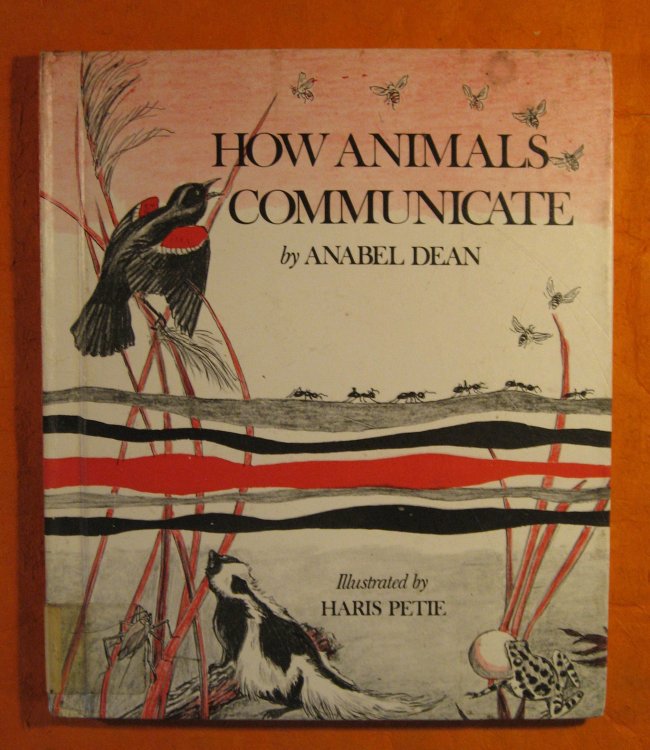 How Animals Communicate