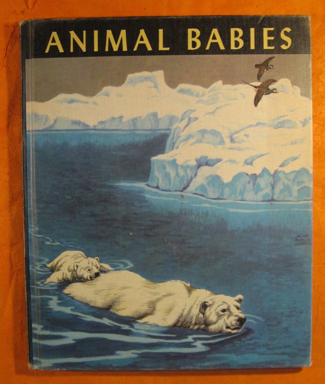 Animal Babies