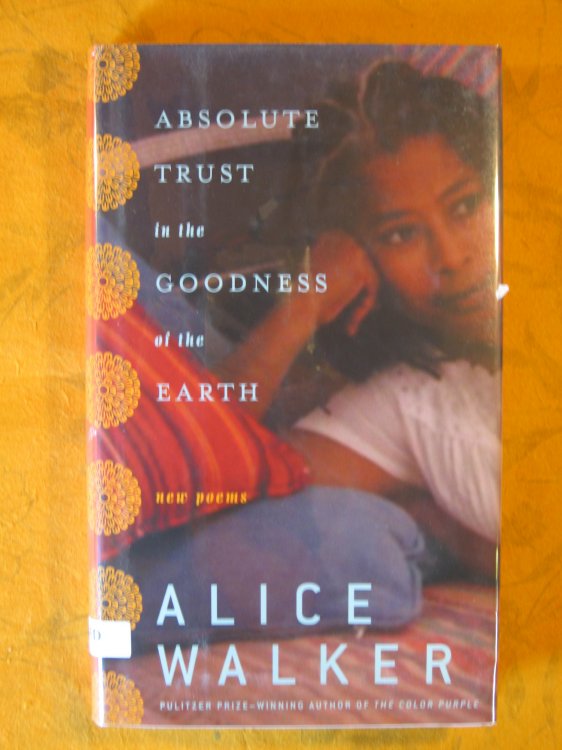 Image for Absolute Trust in the Goodness of the Earth Absolute Trust in the Goodness of the Earth