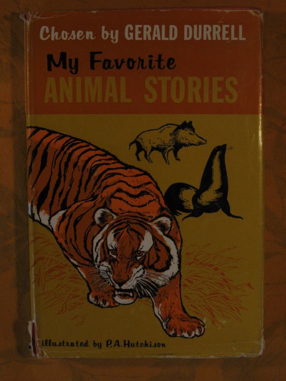 Image for My Favorite Animal Stories My Favorite Animal Stories