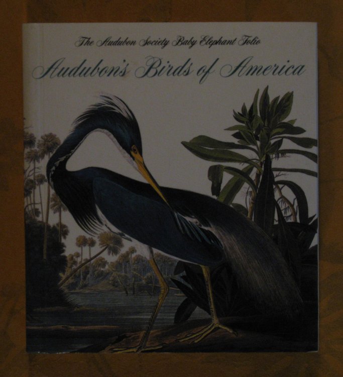 Image for Audubon's Birds of America (Tiny Folios) Audubon's Birds of America (Tiny Folios)