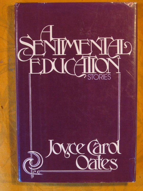 Image for A Sentimental Education A Sentimental Education