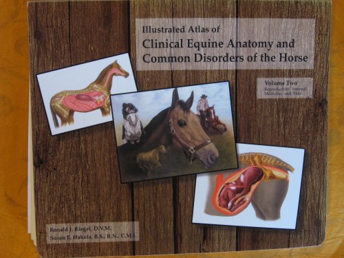 Image for Illustrated Atalas of Clinical Equine Anatomy and Common Disorders of the Horse Volume Two: Reproduction, Internal Medicine, and Skin Illustrated Atalas of Clinical Equine Anatomy and Common Disorders of the Horse Volume Two: Reproduction, Internal Medicine, and Skin
