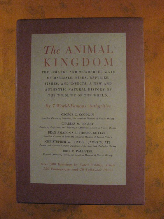 Image for The Animal Kingdom: The Strange and Wonderful Ways of Mammals, Birds, Reptiles, Fishes and Insects, a New and Authentic Natural History of the Wildlife of the World (three Volume set) The Animal Kingdom: The Strange and Wonderful Ways of Mammals, Birds, Reptiles, Fishes and Insects, a New and Authentic Natural History of the Wildlife of the World (three Volume set)