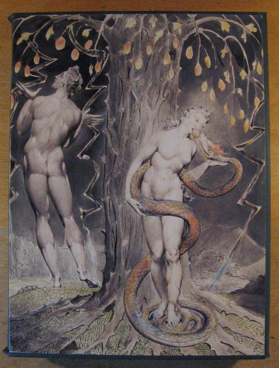 Image for Paradise Lost: A Poem in Twelve Books Paradise Lost: A Poem in Twelve Books