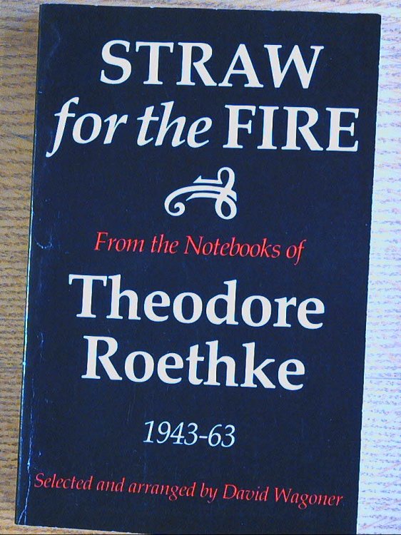 Image for Straw for the Fire : From the Notebooks of Theodore Roethke, 1943-63 Straw for the Fire : From the Notebooks of Theodore Roethke, 1943-63