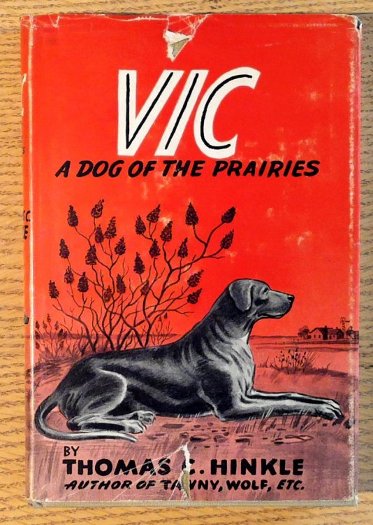 Image for Vic: A Dog of the Prairies Vic: A Dog of the Prairies
