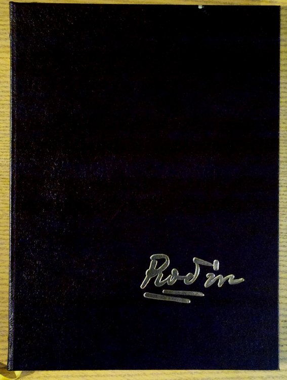 Image for Rodin Rodin
