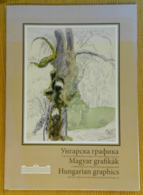 Image for Hungarian Graphics from the Collection of the National Gallery for Foreign Art Hungarian Graphics from the Collection of the National Gallery for Foreign Art
