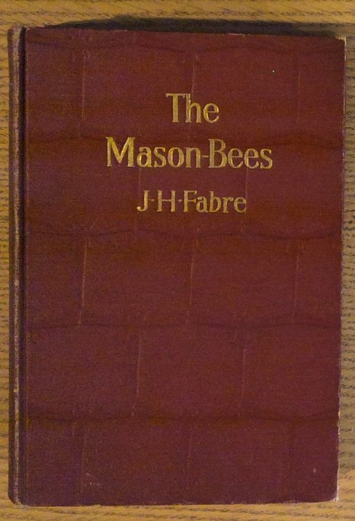 Image for The Mason-Bees The Mason-Bees