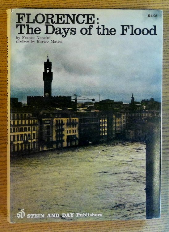 Image for Florence: The Days of the Flood Florence: The Days of the Flood