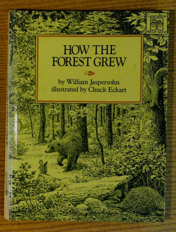 How the Forest Grew