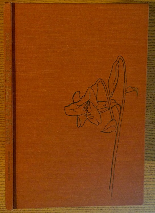 The Real Tin Flower: Poems About the World at Nine