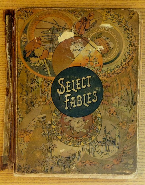 Image for Selections from Aesop's Fables Selections from Aesop's Fables