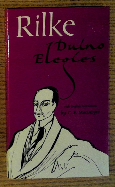 Image for Duino Elegies Duino Elegies