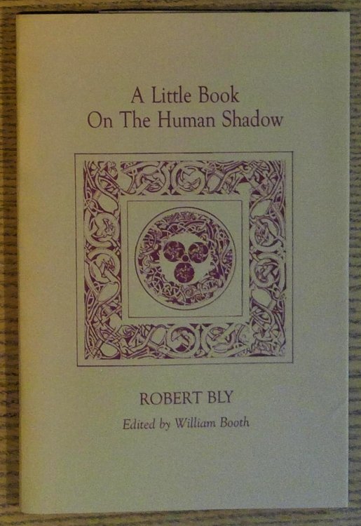 Image for A Little Book on the Human Shadow A Little Book on the Human Shadow