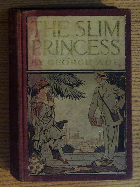 Image for The Slim Princess The Slim Princess