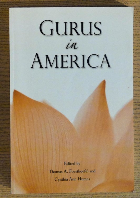 Image for Gurus In America Gurus In America