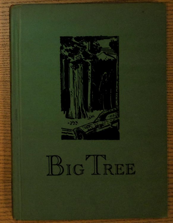 Image for Big Tree Big Tree