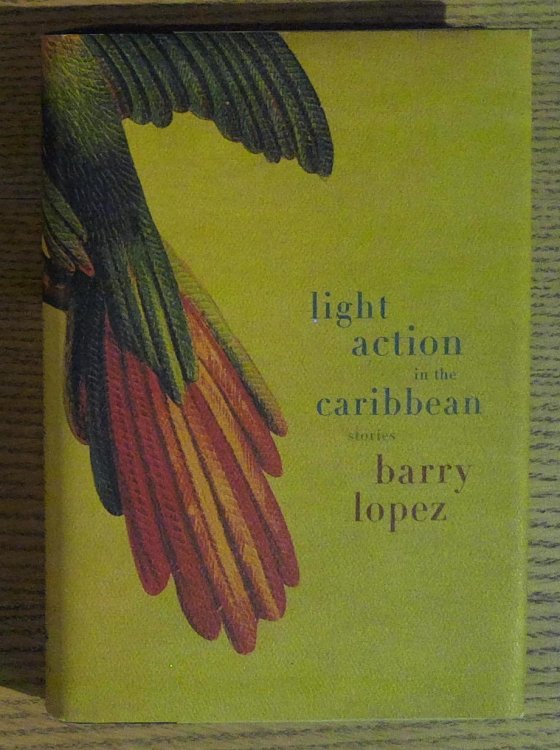 Image for Light Action in the Caribbean: Stories Light Action in the Caribbean: Stories