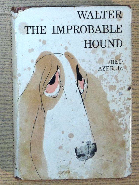Image for Walter The Improbable Hound Walter The Improbable Hound