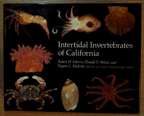 Image for Intertidal Invertebrates of California Intertidal Invertebrates of California