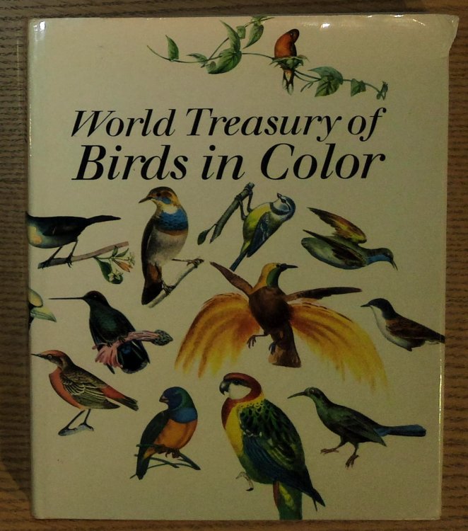 Image for World Treasury of Birds in Color World Treasury of Birds in Color