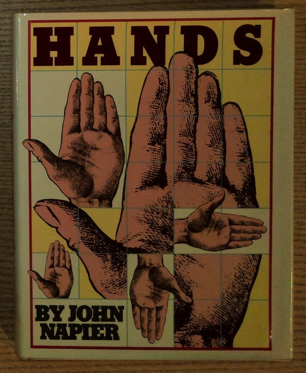 Image for Hands Hands