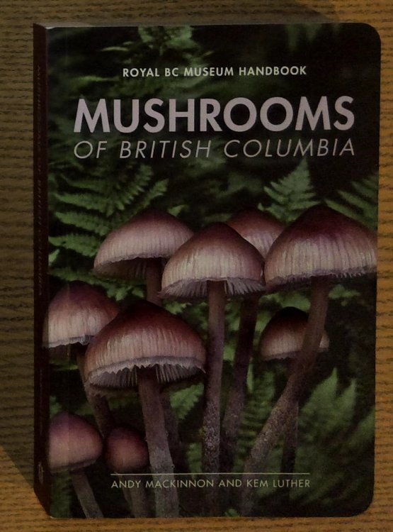 Image for Mushrooms of British Columbia Mushrooms of British Columbia