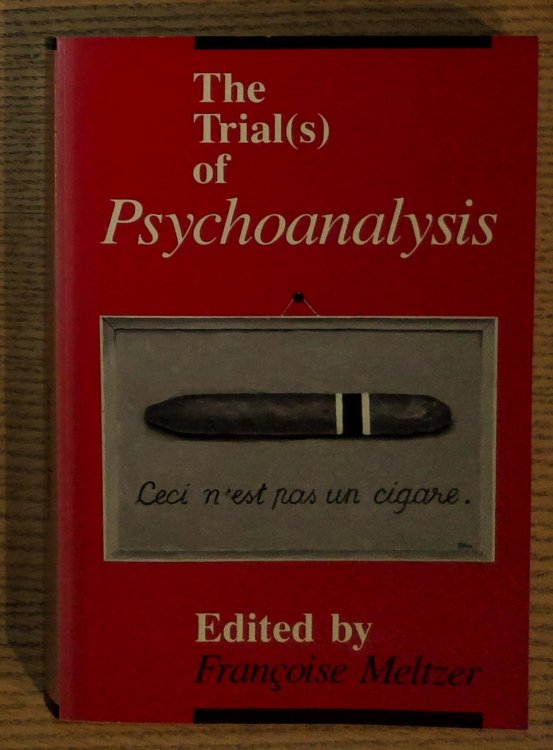 Image for The Trial(s) of Psychoanalysis The Trial(s) of Psychoanalysis