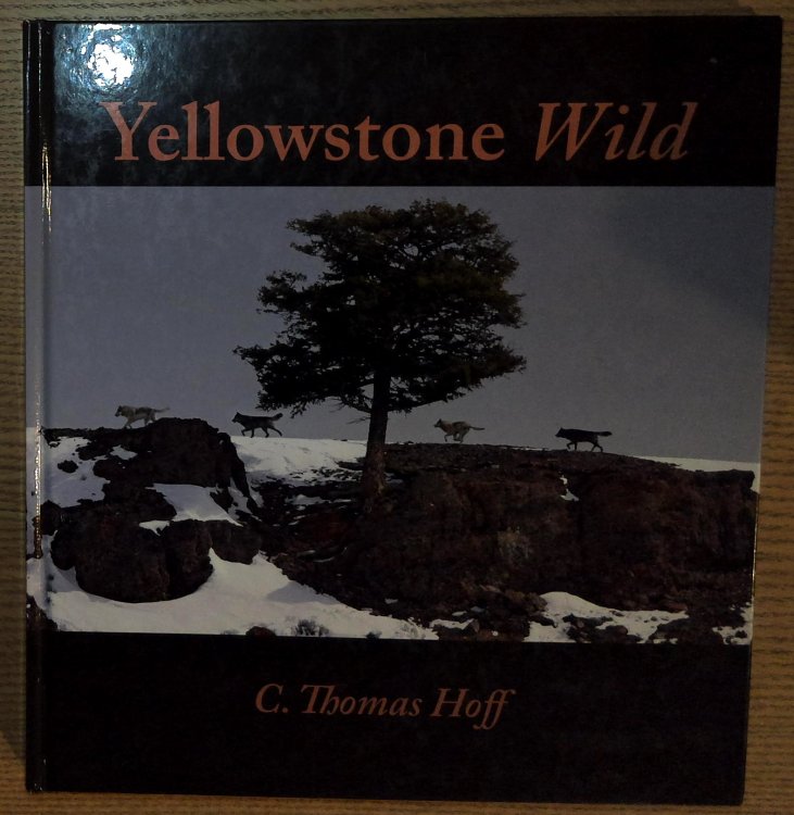Image for Yellowstone Wild Yellowstone Wild