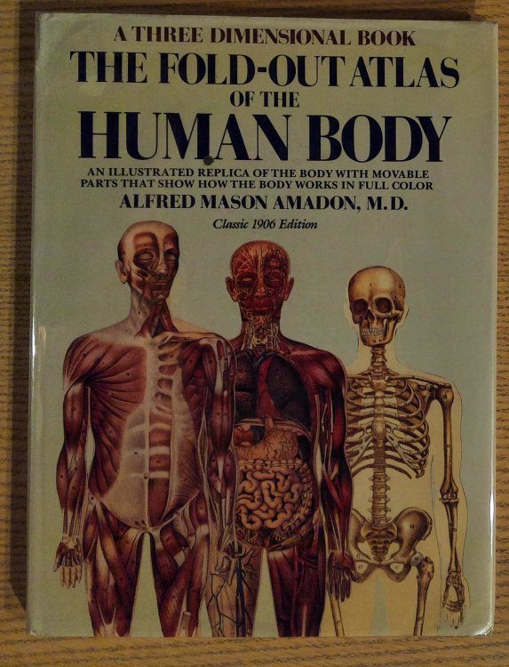 The Fold-Out Atlas of the Human Body: An Illustrated Replica of the Body with Movable Parts That Show How the Body Works in Full Color