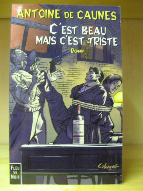 C'est Beau Mais C'est Triste