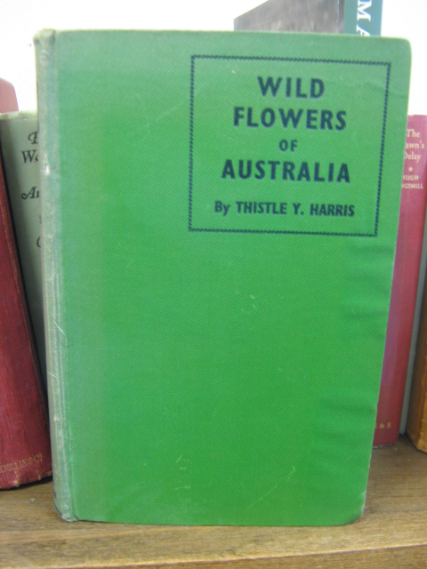 Wild Flowers of Australia