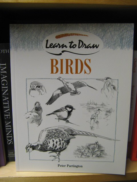 Learn to Draw Birds