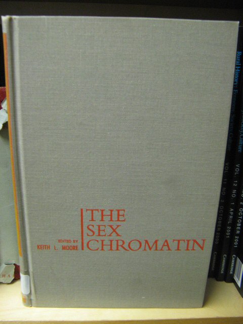 The Sex Chromatin