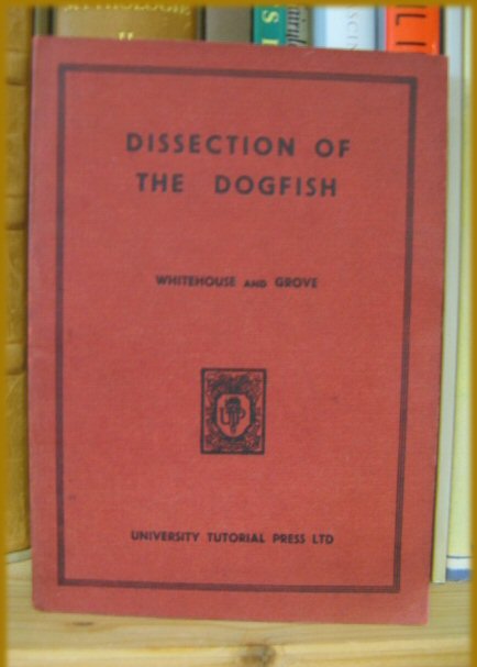 The Dissection of the Dogfish