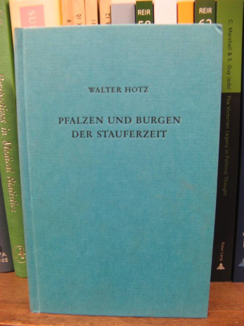 Pfalzen Und Burgen Der Stauferzeit