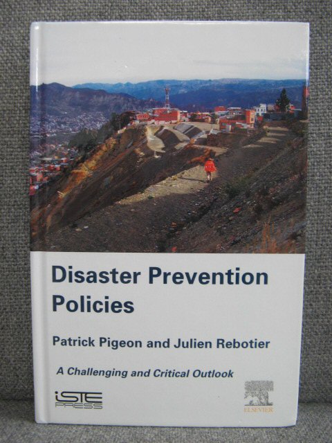 Disaster Prevention Policies: A Challenging and Critical Outlook
