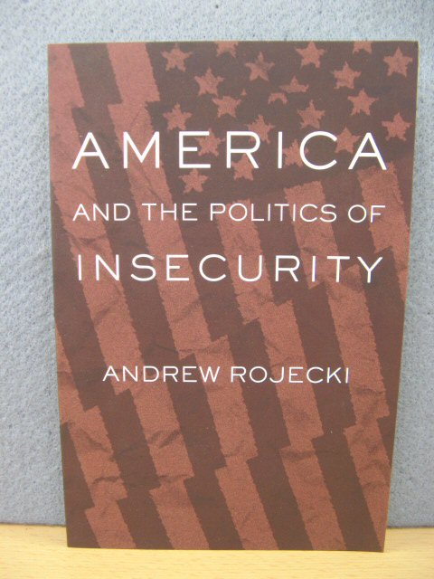 America and the Politics of Insecurity
