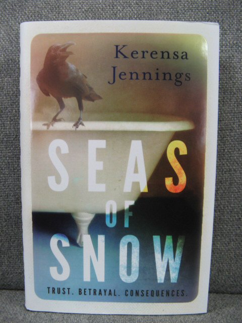 Seas of Snow