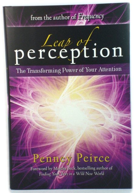 Leap of Perception: The Transforming Power of your Attention