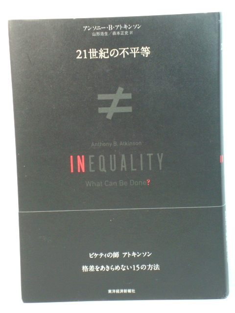 Inequality: What Can be Done