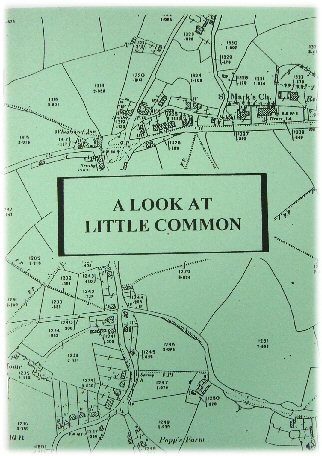 A Look at Little Common
