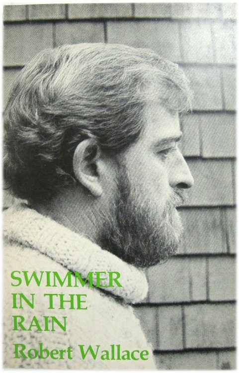 Image for Swimmer in the Rain Swimmer in the Rain