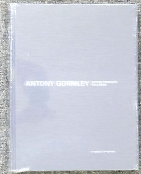 Antony Gormley: Corpos Presentes, Being Still
