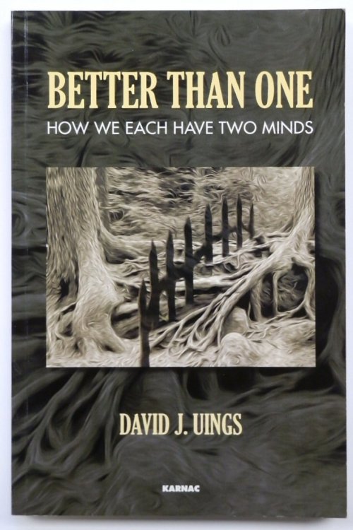 Better Than One: How We Each Have Two Minds